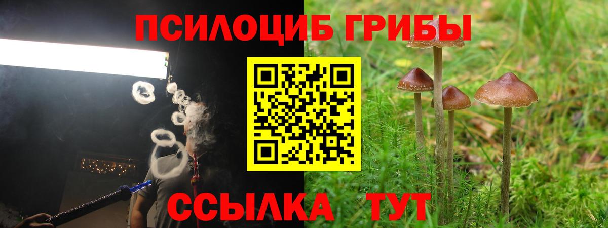 Псилоцибиновые грибы ЛСД Великий Устюг
